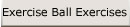 Exercise Ball Exercises